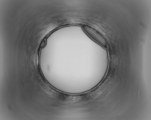 X0000112041269200908311228