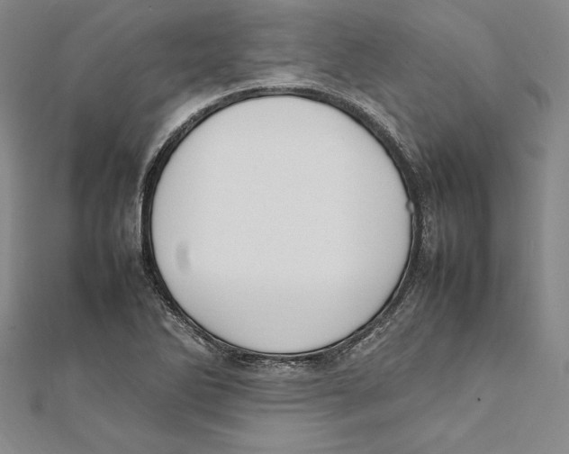 X0000112041270200908311228