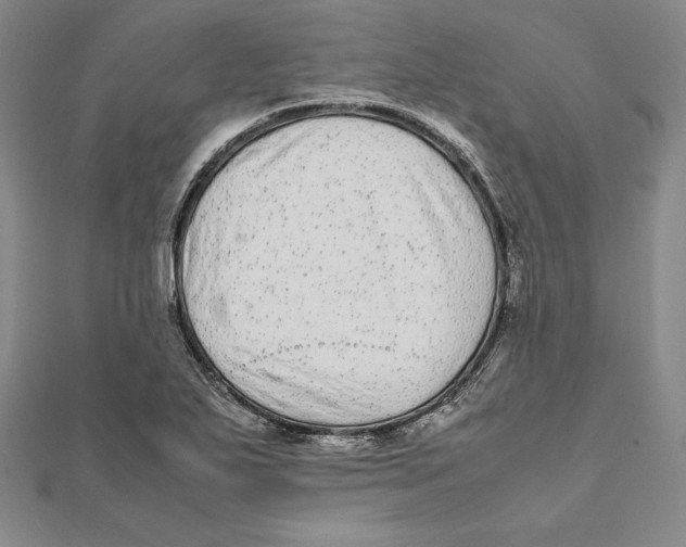 X0000112041271200908311228