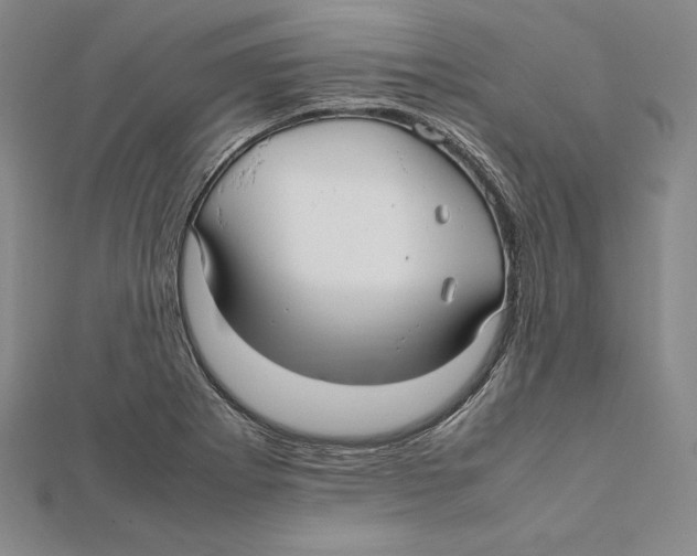 X0000112041273200908311228