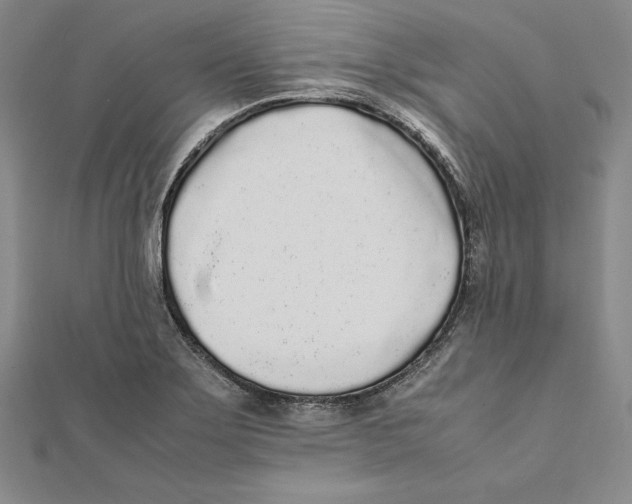 X0000112041275200908311228