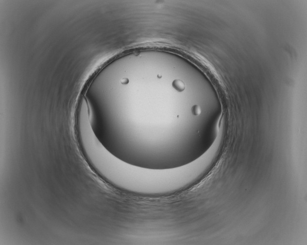 X0000112041277200908311228