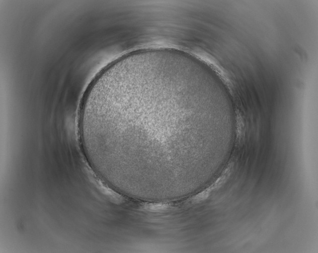 X0000112041278200908311228