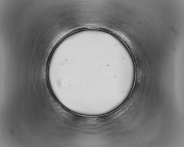 X0000112041279200908311228