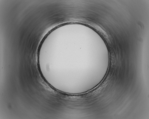X0000112041280200908311228