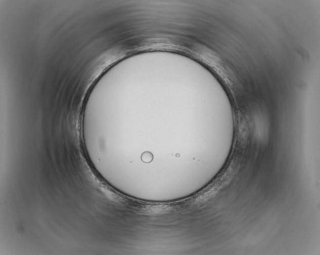X0000112041282200908311228