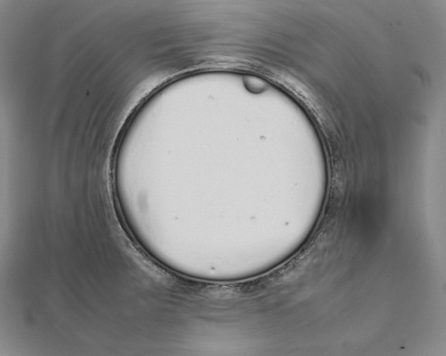 X0000112041283200908311228