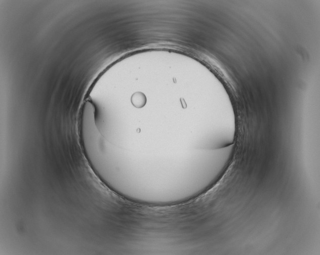 X0000112041284200908311228