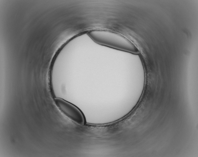 X0000112041285200908311228