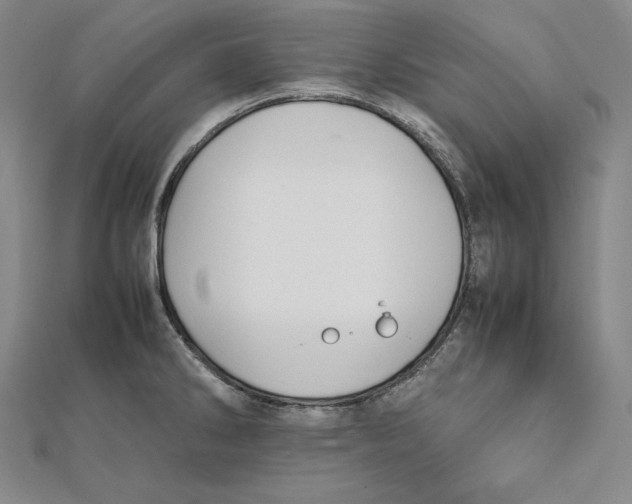 X0000112041286200908311228