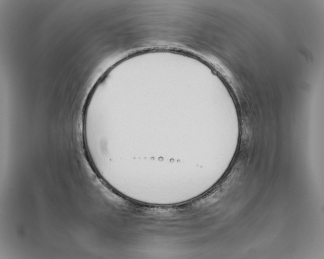 X0000112041287200908311228