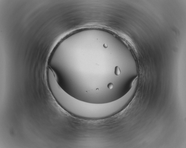 X0000112041288200908311228