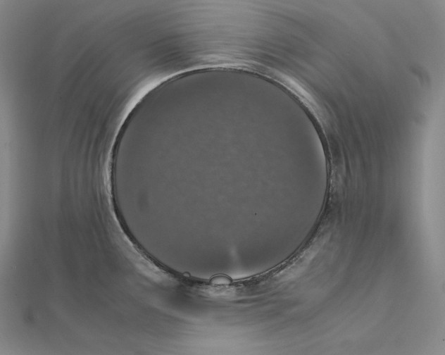 X0000112041291200908311228