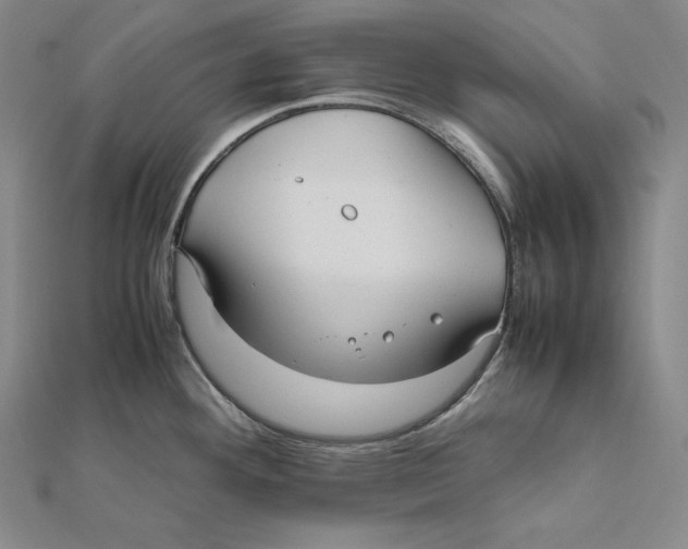 X0000112041292200908311228