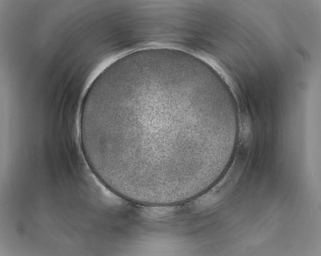 X0000112041294200908311228