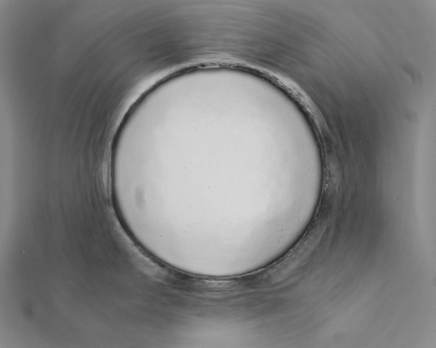 X0000112041295200908311228