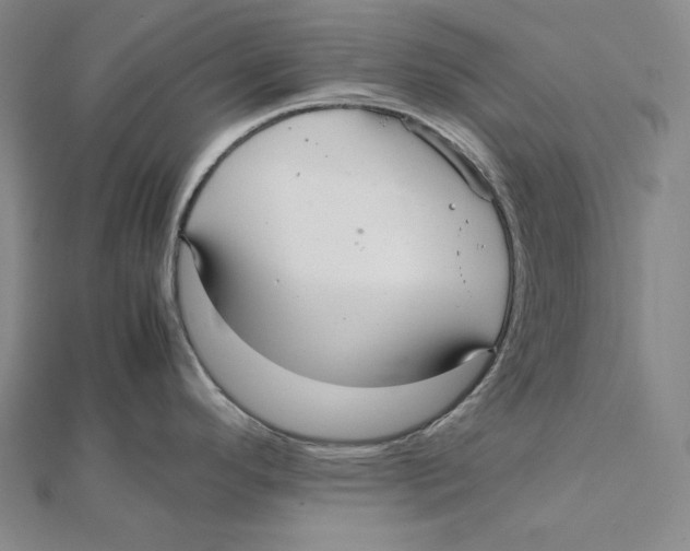 X0000112041296200908311228