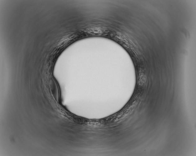 X0000112041297200908311227