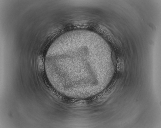X0000112041298200908311228