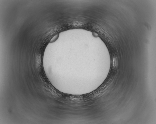 X0000112041299200908311228