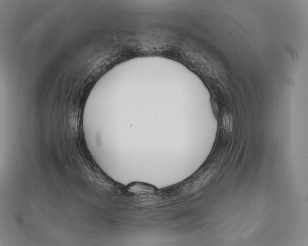 X0000112041300200908311228