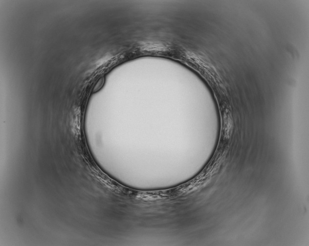 X0000112041301200908311228