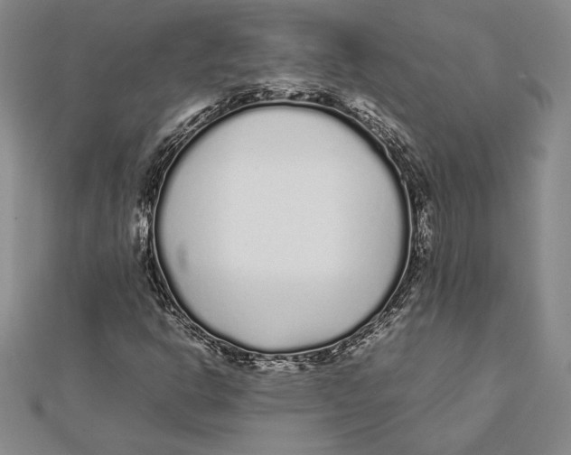 X0000112041302200908311228
