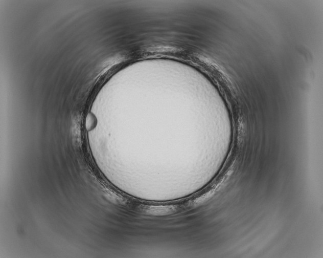 X0000112041305200908311228