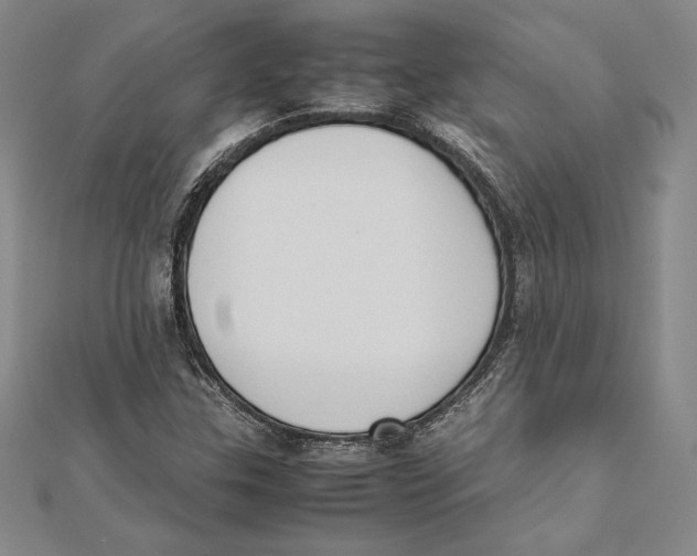 X0000112041307200908311228