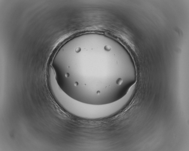 X0000112041308200908311228