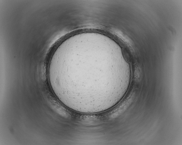 X0000112041310200908311228