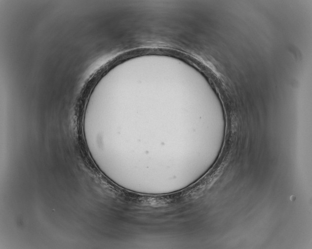 X0000112041311200908311228