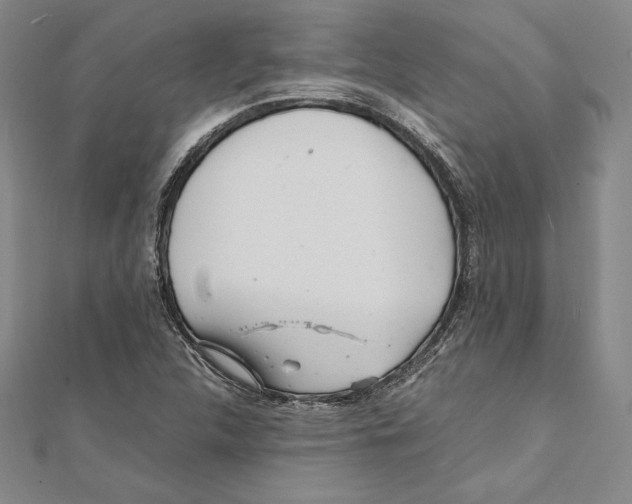 X0000112041312200908311228