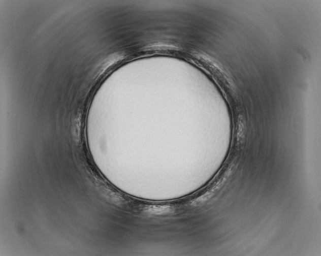 X0000112041313200908311228