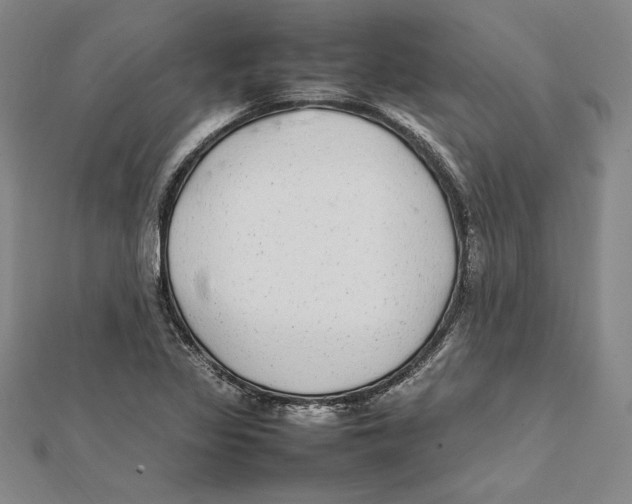 X0000112041317200908311228