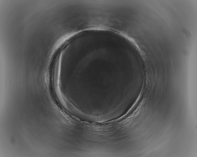 X0000112041319200908311228