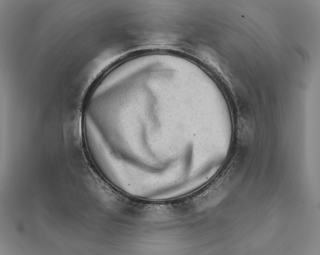 X0000112041320200908311228