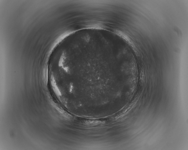 X0000112041323200908311228
