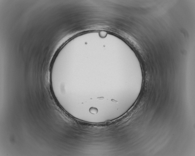 X0000112041324200908311228