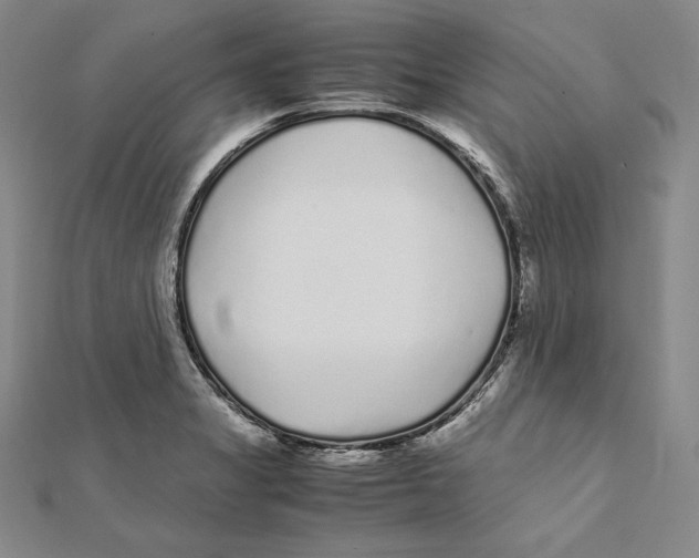 X0000112041325200908311228