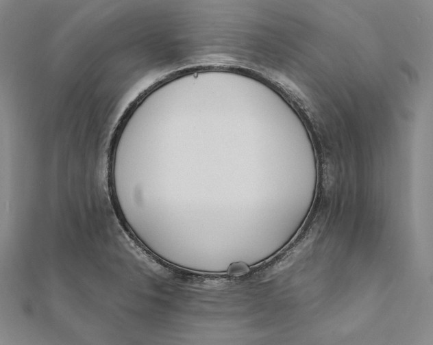 X0000112041326200908311228