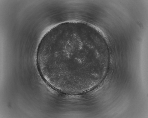 X0000112041327200908311228
