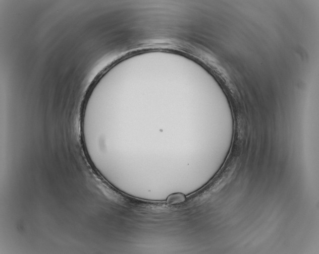 X0000112041328200908311228