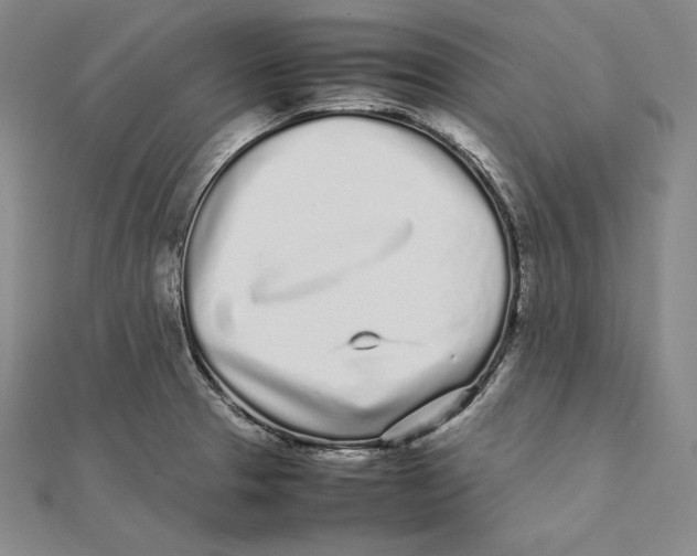 X0000112041329200908311228