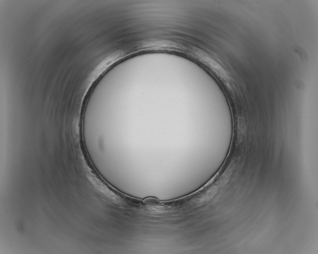 X0000112041330200908311228