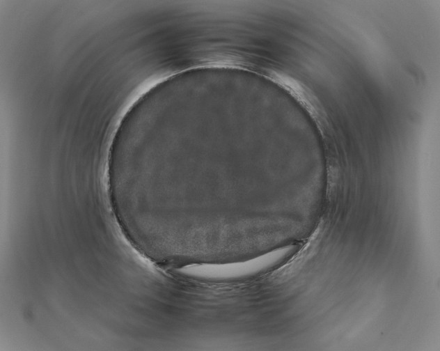 X0000112041331200908311228