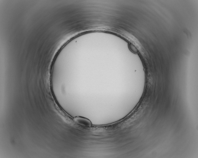 X0000112041332200908311228