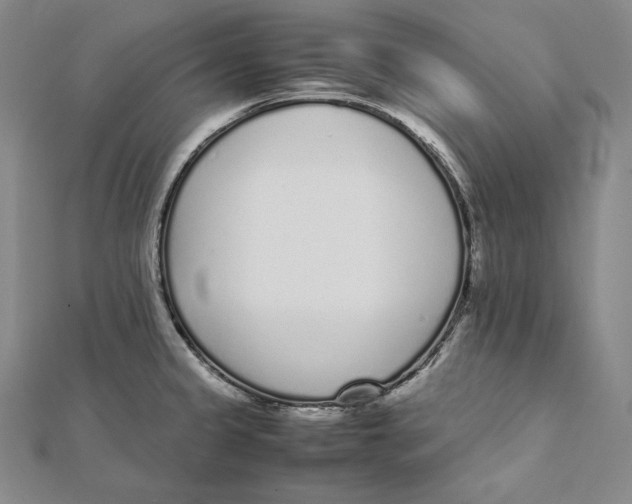 X0000112041333200908311228