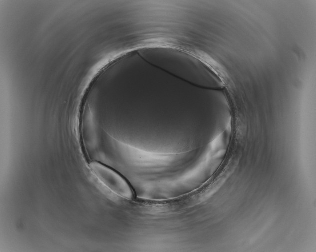 X0000112041334200908311228