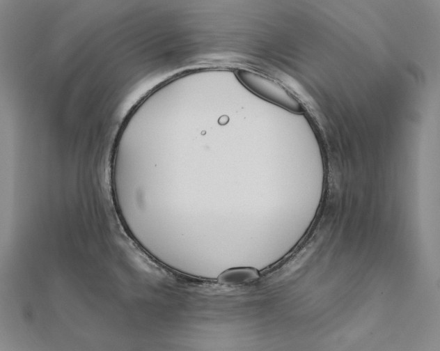 X0000112041336200908311228